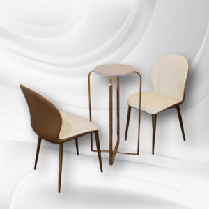 Chic Accent Table and Chair Set